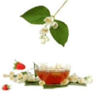 Копорский иван чай ферментированный с фруктами и ягодами