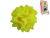 Эко-мыло нарциссы (цвет жёлтый)